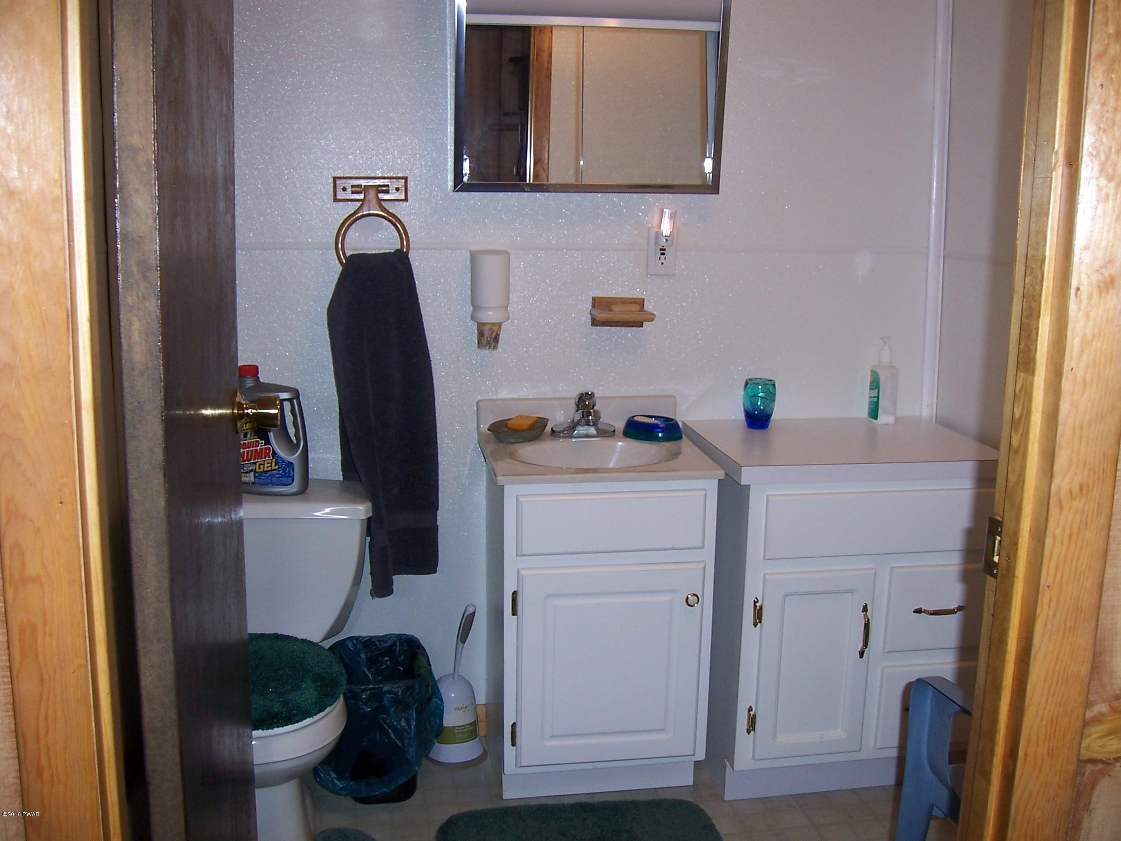 41 Como Road Lakewood, PA 18439 - Photo 10 of 22 DOWNSTAIRS BATH