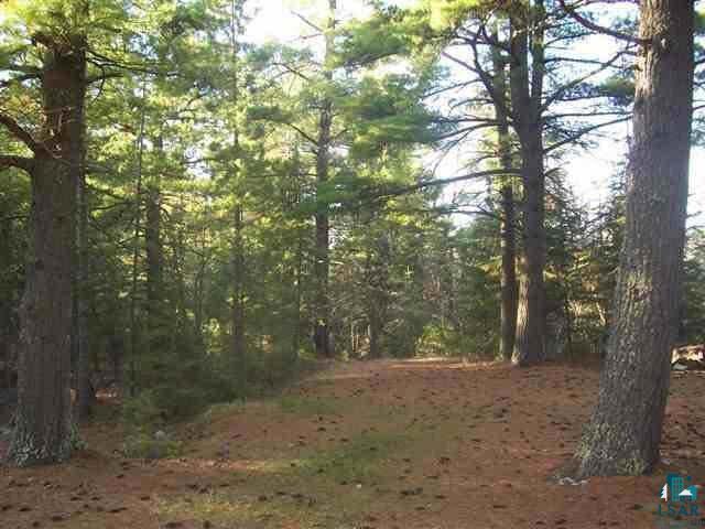 3231 Domich Road Ely, MN 55731 - Photo 8 of 9 Gallery Image 8