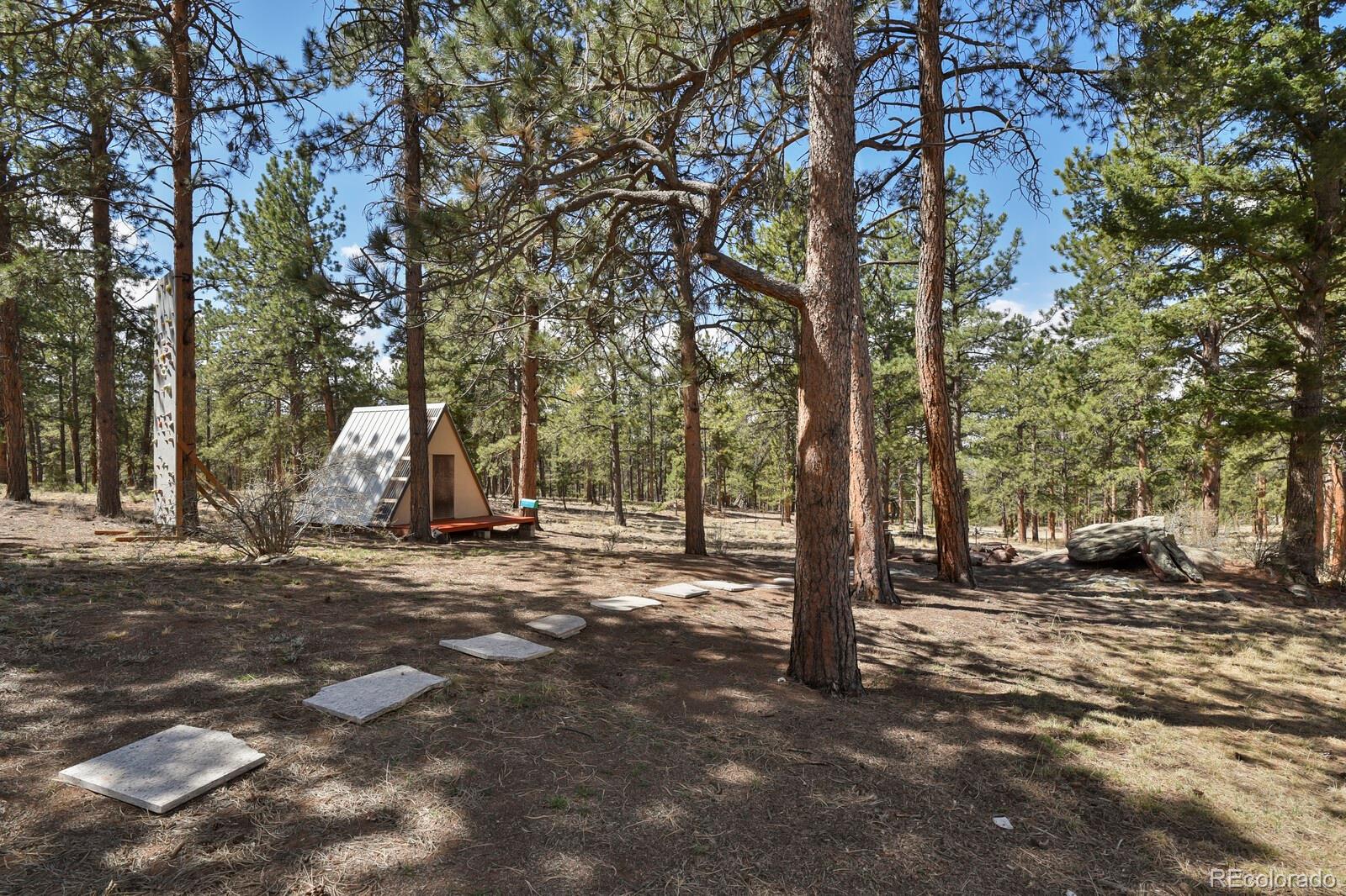 881 Trail Creek Road Lake George, CO 80827 - Photo 34 of 46