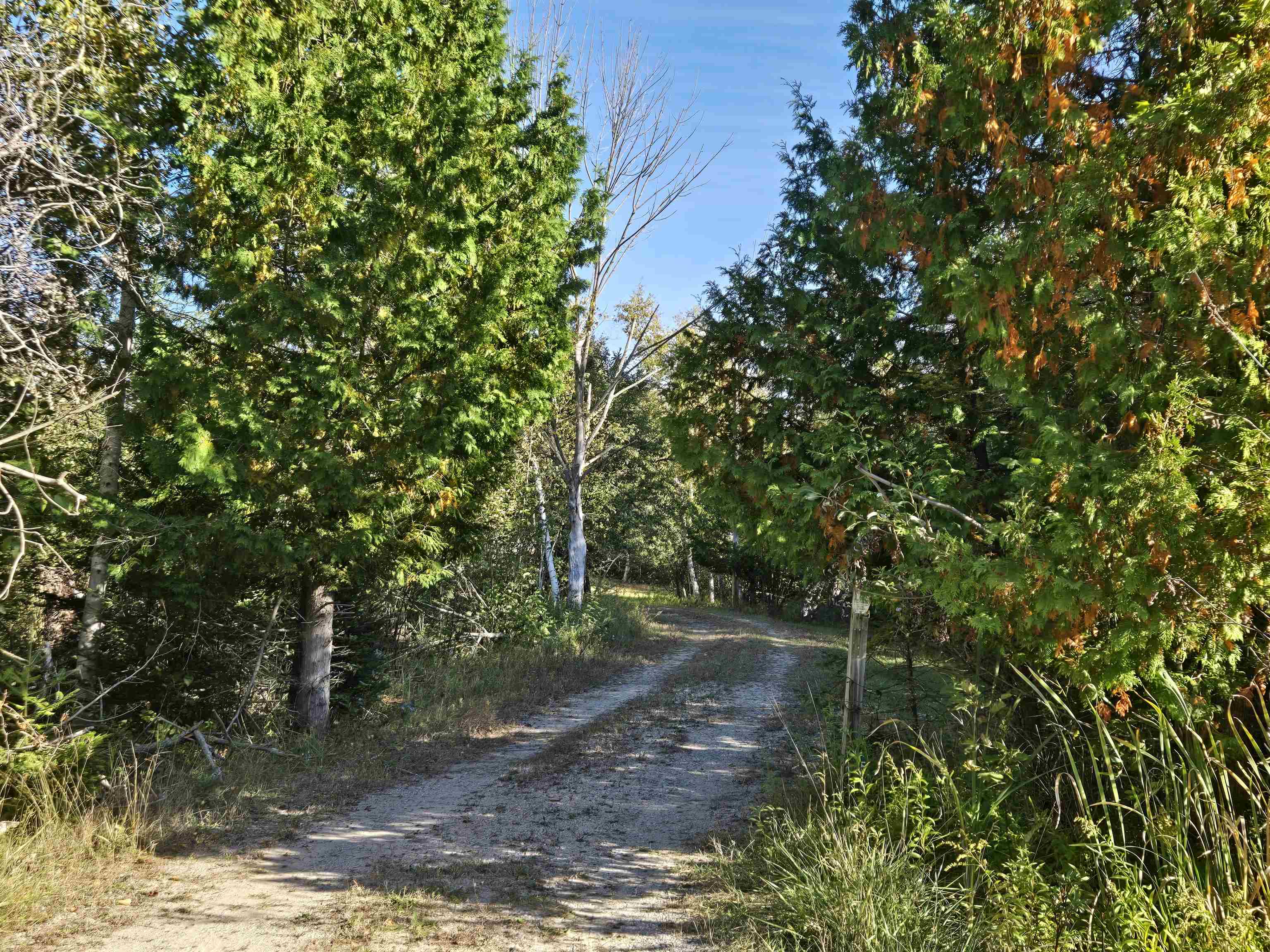 5971 Point Road Harrisville, MI 48740 - Photo 5 of 15