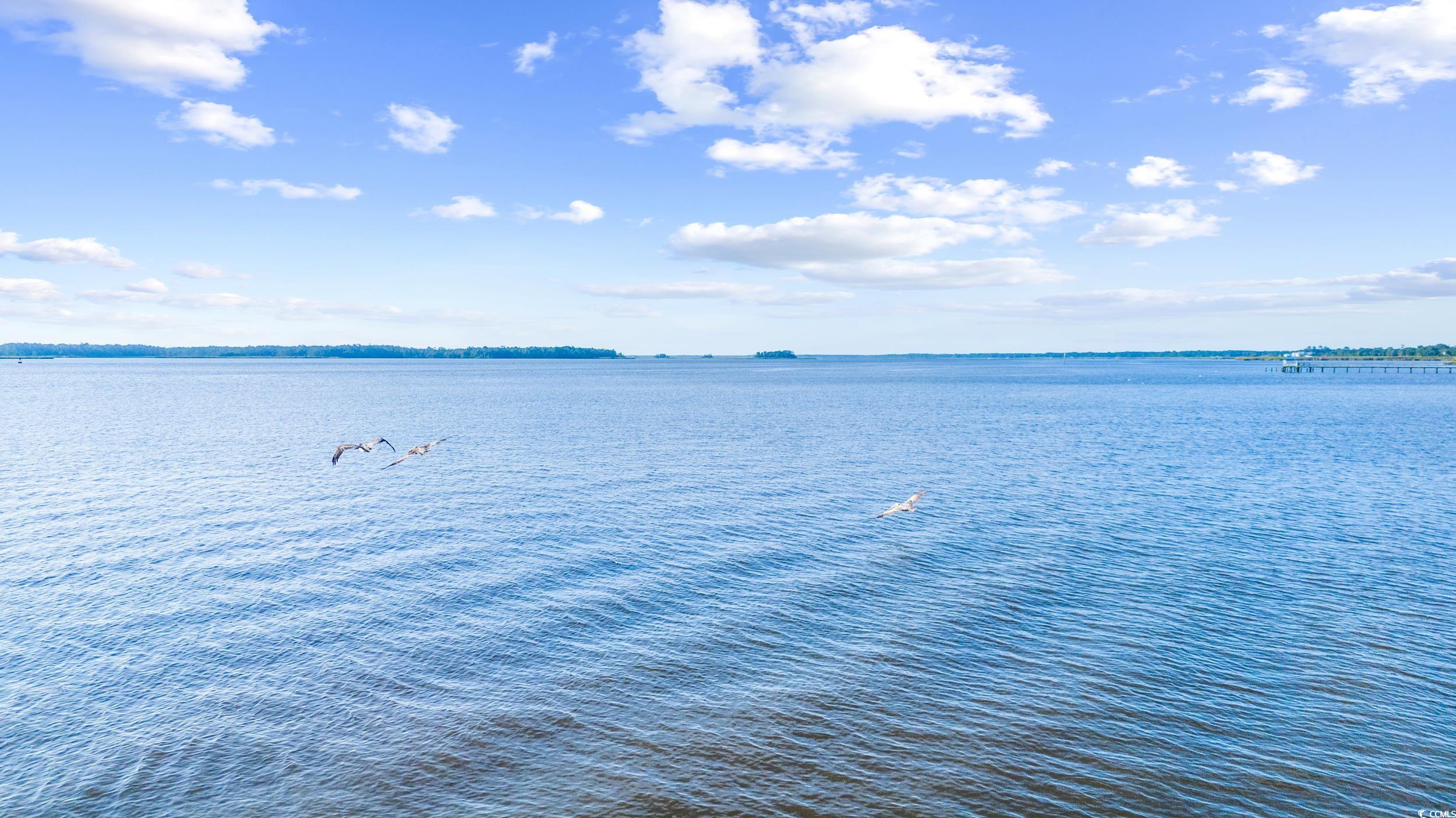 2427 South Bay Street Georgetown, SC 29440 - Photo 14 of 14