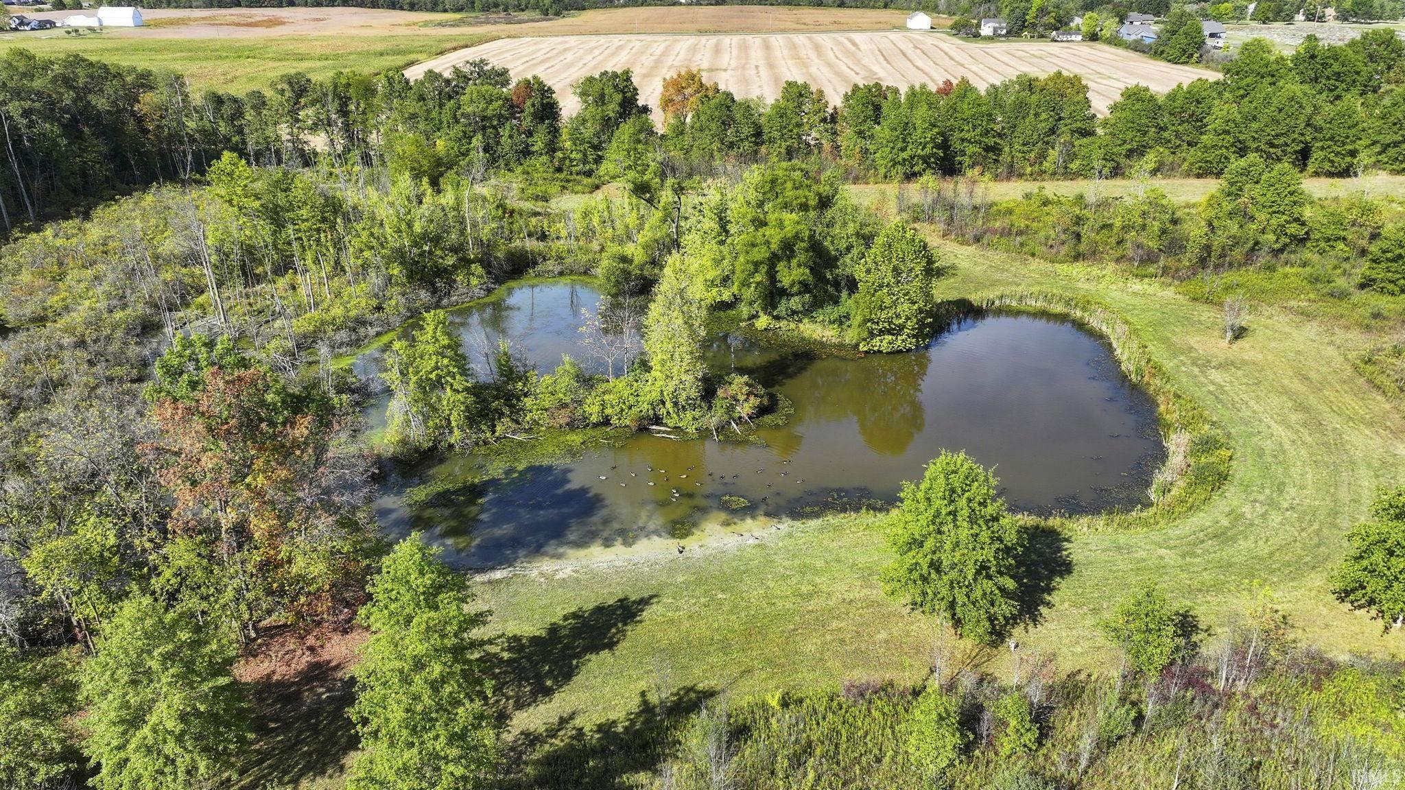 Tbd Hollopeter Road Leo, IN 46765 - Photo 3 of 9