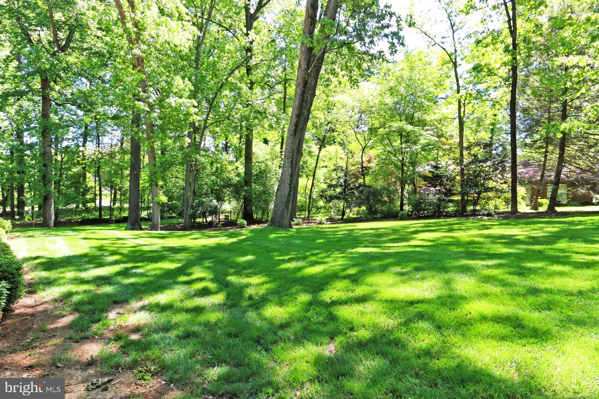 11703 Vale Road Oakton, VA 22124 - Photo 49 of 55 Gallery Image 49
