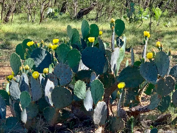 $1,175,000 | 7869 County Road 311, D'Hanis, TX 78850