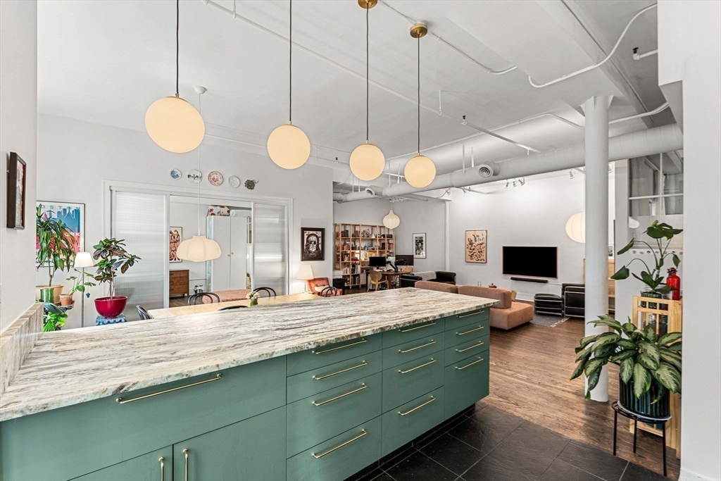 10 Williams Street, Unit 33 Boston, MA 02119 - Photo 10 of 30