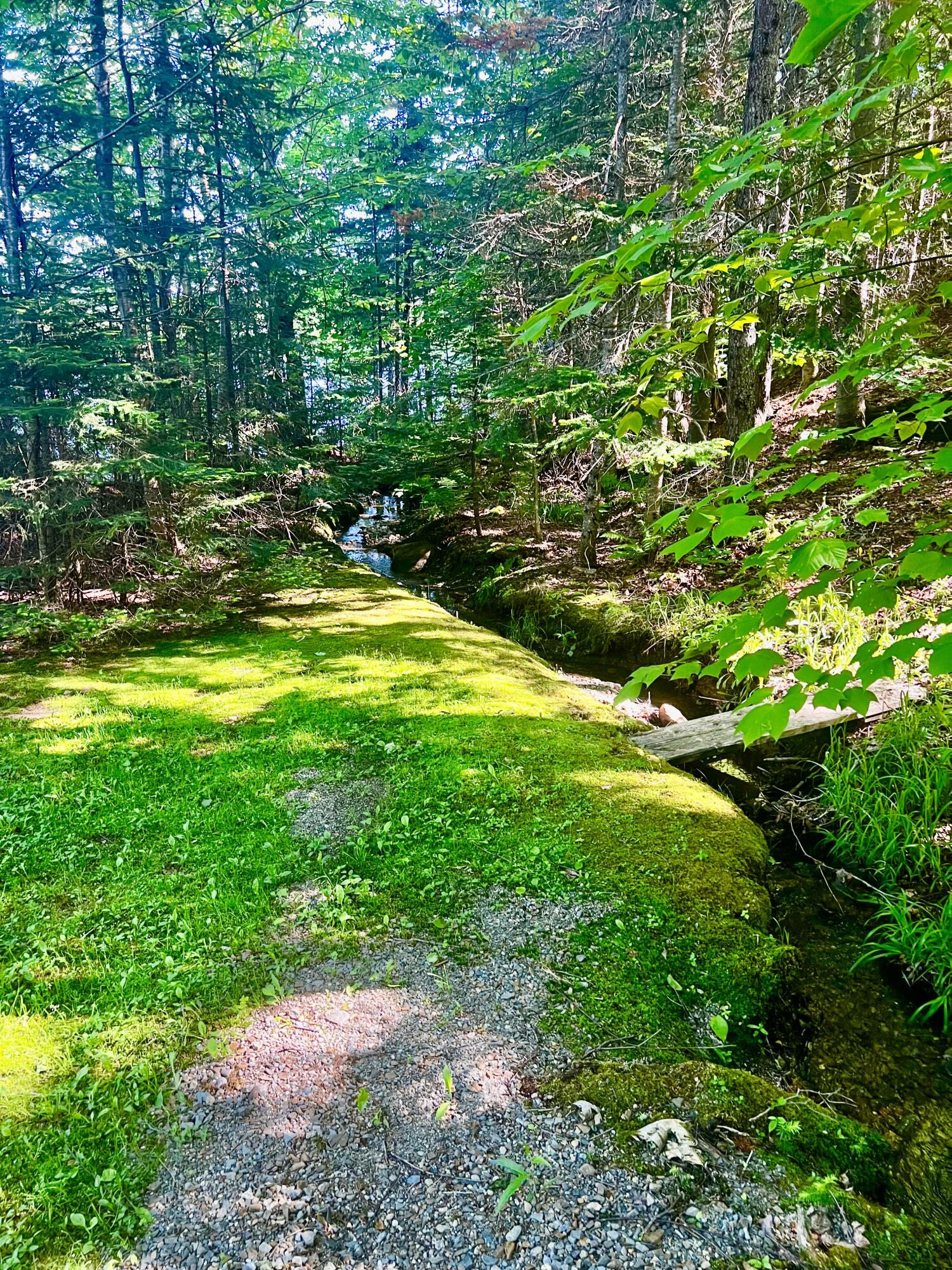 200 Edelheid Road Sandy River Plt, ME 04970 - Photo 34 of 45 Babbling Brook