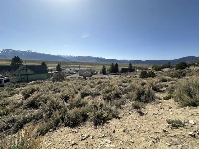a view of a dry yard with wooden fence