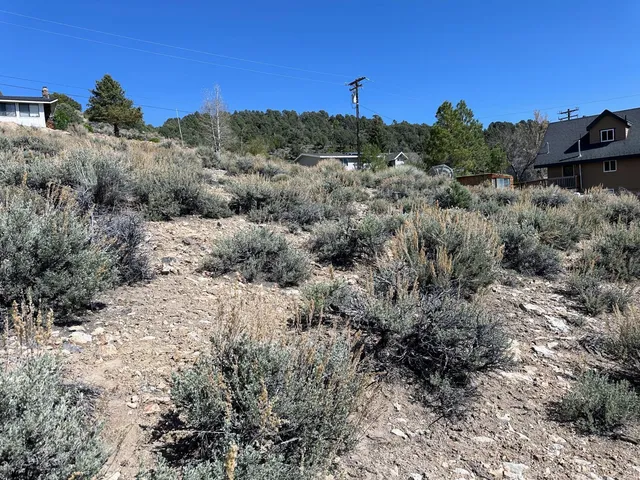 a view of a dry yard with trees in the background