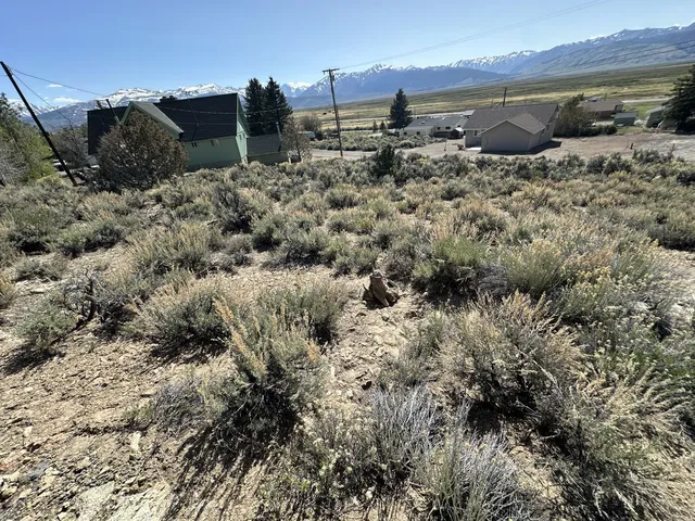 a view of a backyard of the house