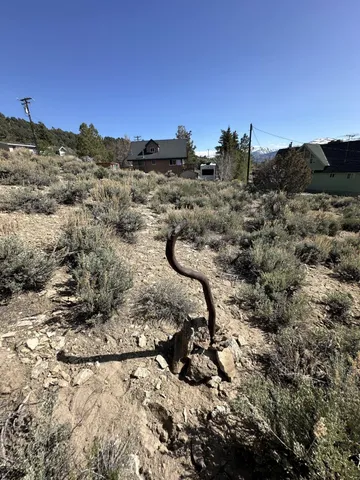 a view of a dry yard