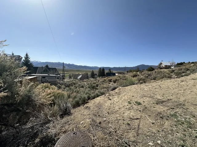 a view of a dry yard with trees