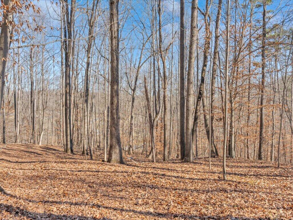 1511 Eggleston Falls Road Ridgeway, VA 24148 - Photo 108 of 151 a view of a backyard of the house