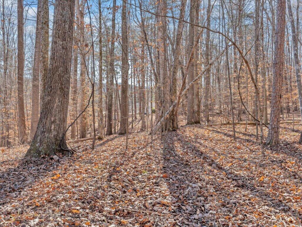 1511 Eggleston Falls Road Ridgeway, VA 24148 - Photo 109 of 151 089-MIB01520