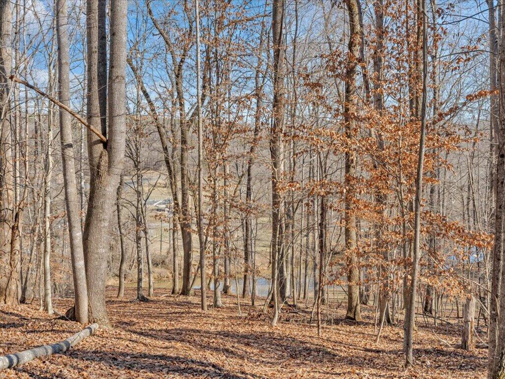 1511 Eggleston Falls Road Ridgeway, VA 24148 - Photo 110 of 151 a view of a backyard of the house