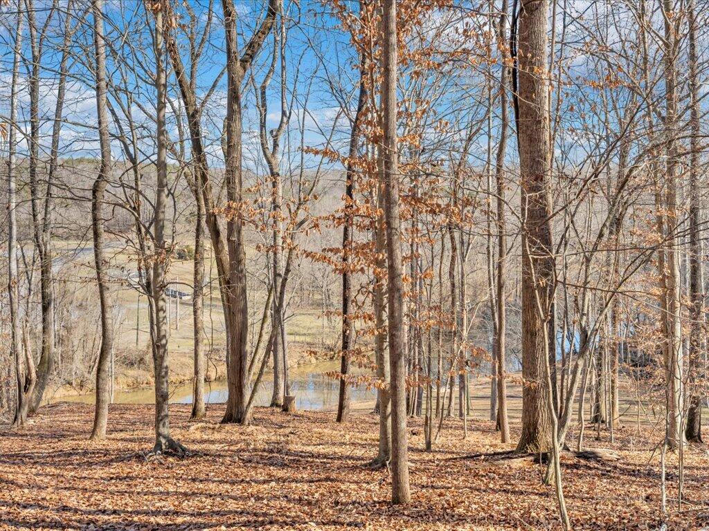 1511 Eggleston Falls Road Ridgeway, VA 24148 - Photo 111 of 151 a backyard of a house with lots of green space