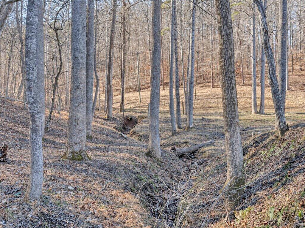 1511 Eggleston Falls Road Ridgeway, VA 24148 - Photo 114 of 151 103-MIB01604