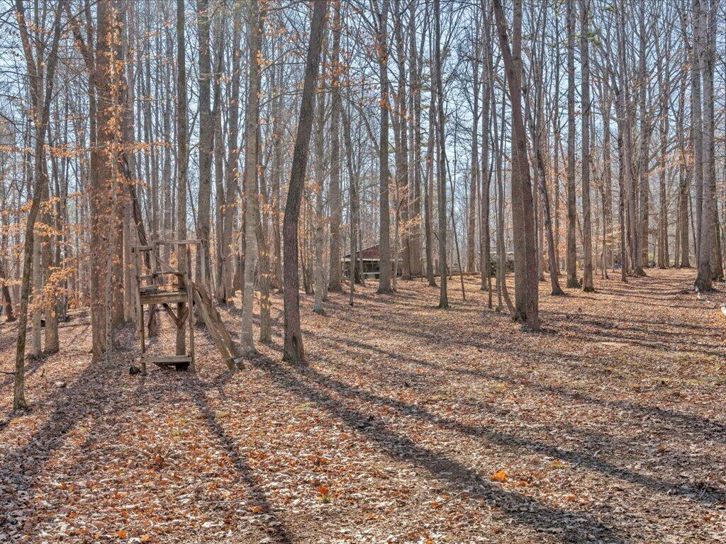 1511 Eggleston Falls Road Ridgeway, VA 24148 - Photo 116 of 151 106-MIB01619