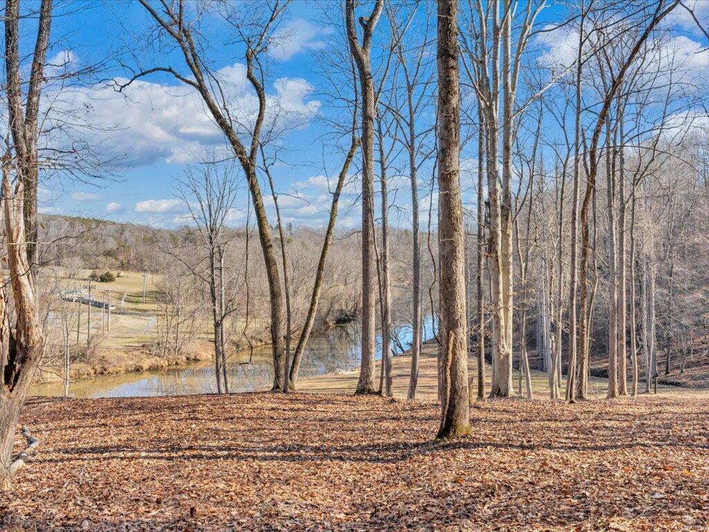 1511 Eggleston Falls Road Ridgeway, VA 24148 - Photo 67 of 151 a view of a backyard of the house