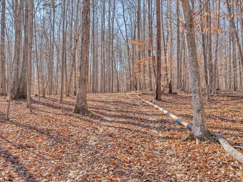 1511 Eggleston Falls Road Ridgeway, VA 24148 - Photo 76 of 151 086-MIB01511