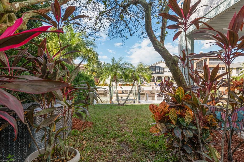 6225 Bayside Drive New Port Richey, FL 34652 - Photo 48 of 84 a view of yard with tree