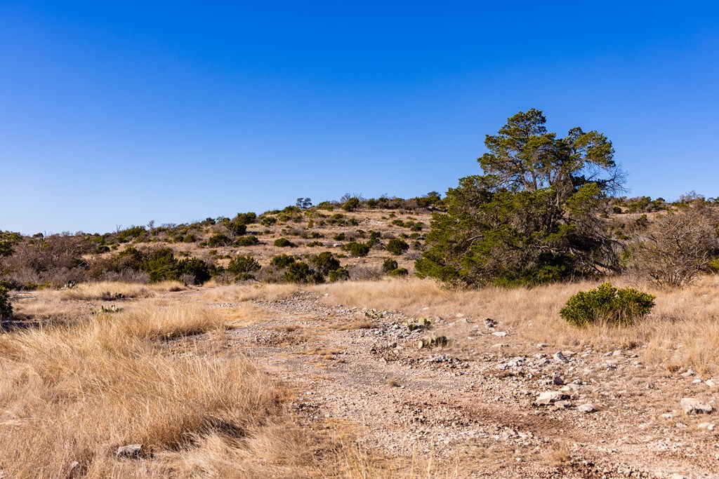 Lot 31 Rocksprings Rocksprings, TX 78880 - Photo 4 of 34