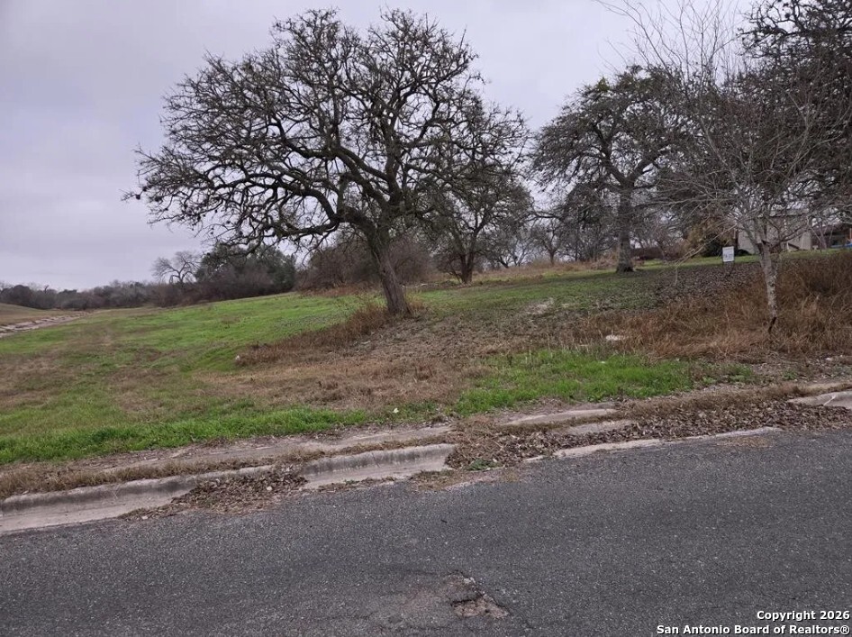 710 West 2nd Street Beeville, TX 78102 - Photo 1 of 4 a view of a yard with tree s