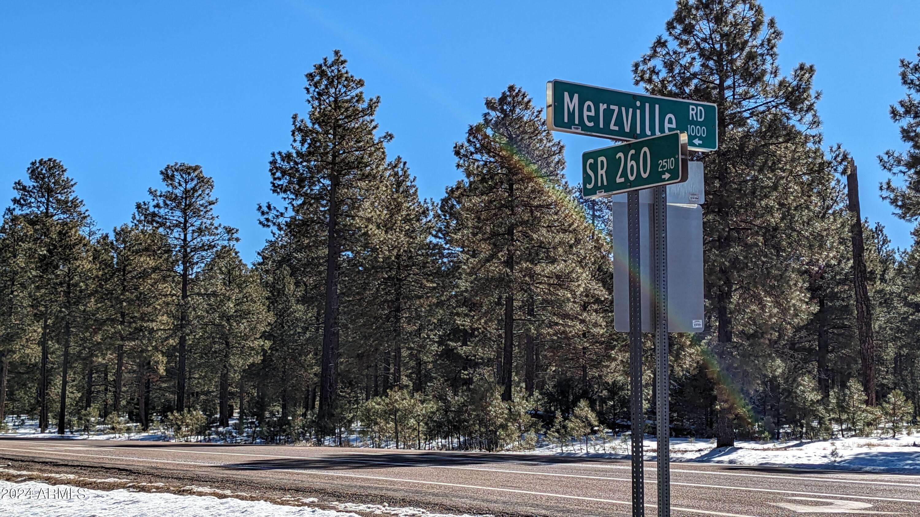 1019 Merzville Road, Unit 234 Forest Lakes, AZ 85931 - Photo 1 of 11 a sign that is on the side of a road