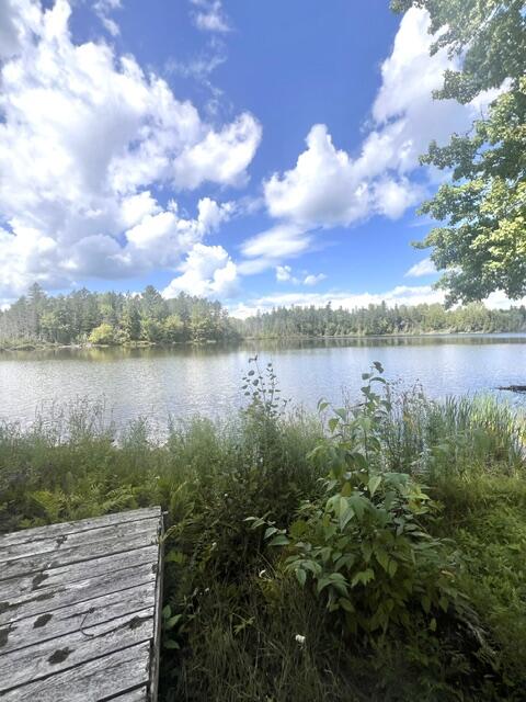 15 Hunter Pond Road Linneus, ME 04730 - Photo 23 of 25 IMG_2343