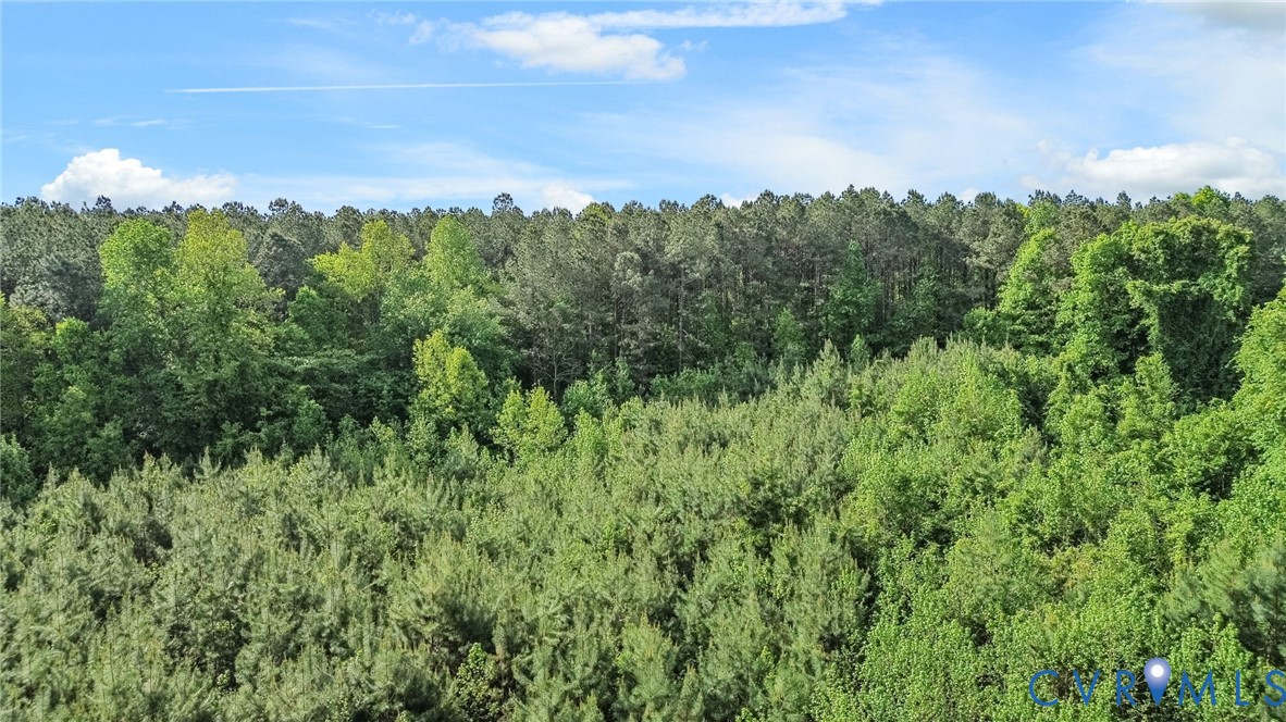 Tbd Boydton Plank Road Dinwiddie, VA 23841 - Photo 4 of 9