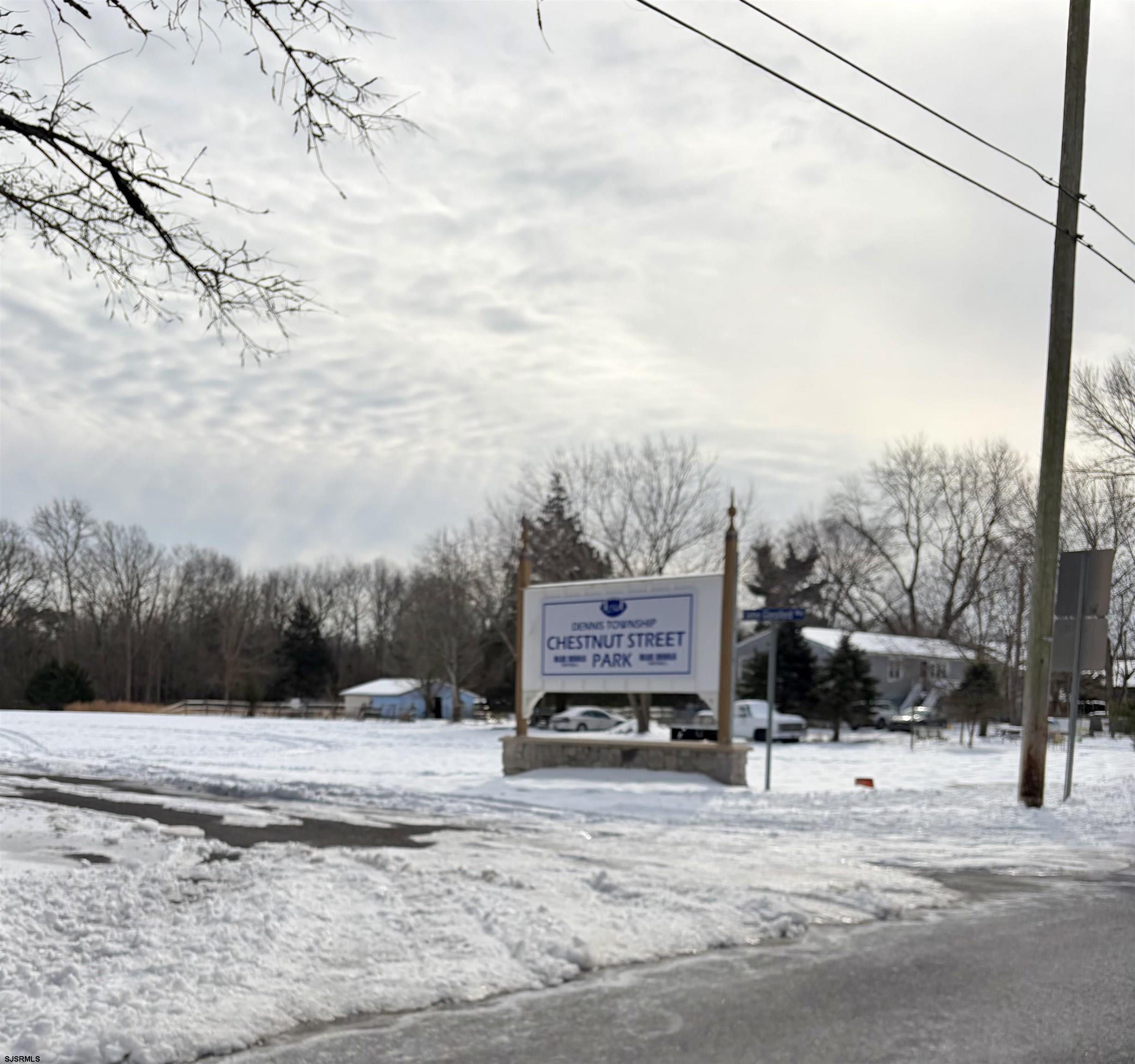 155 Chestnut Street Woodbine, NJ 08270 - Photo 6 of 18 a view of a street