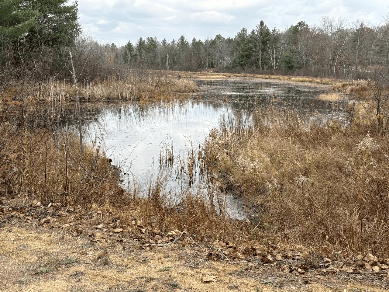 5197 Sunset Trail Road Northeast Kalkaska, MI 49646 - Photo 53 of 69 Gallery Image 53