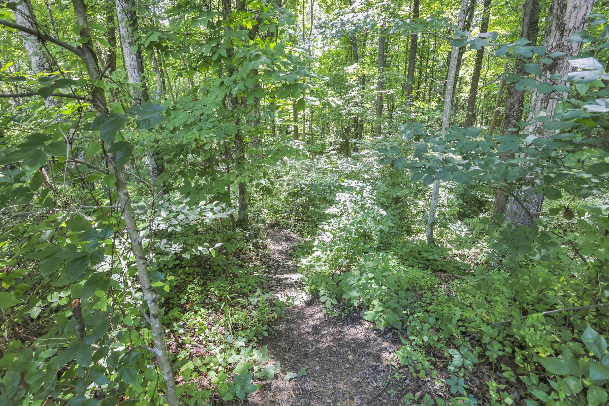 18750 Griffith Road Logan, OH 43138 - Photo 31 of 38 54-web-or-mls-LO5A7916