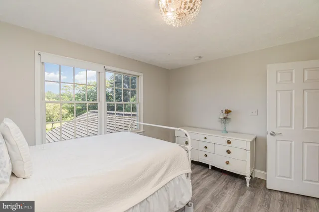 a view of a swimming pool with a patio and plants
