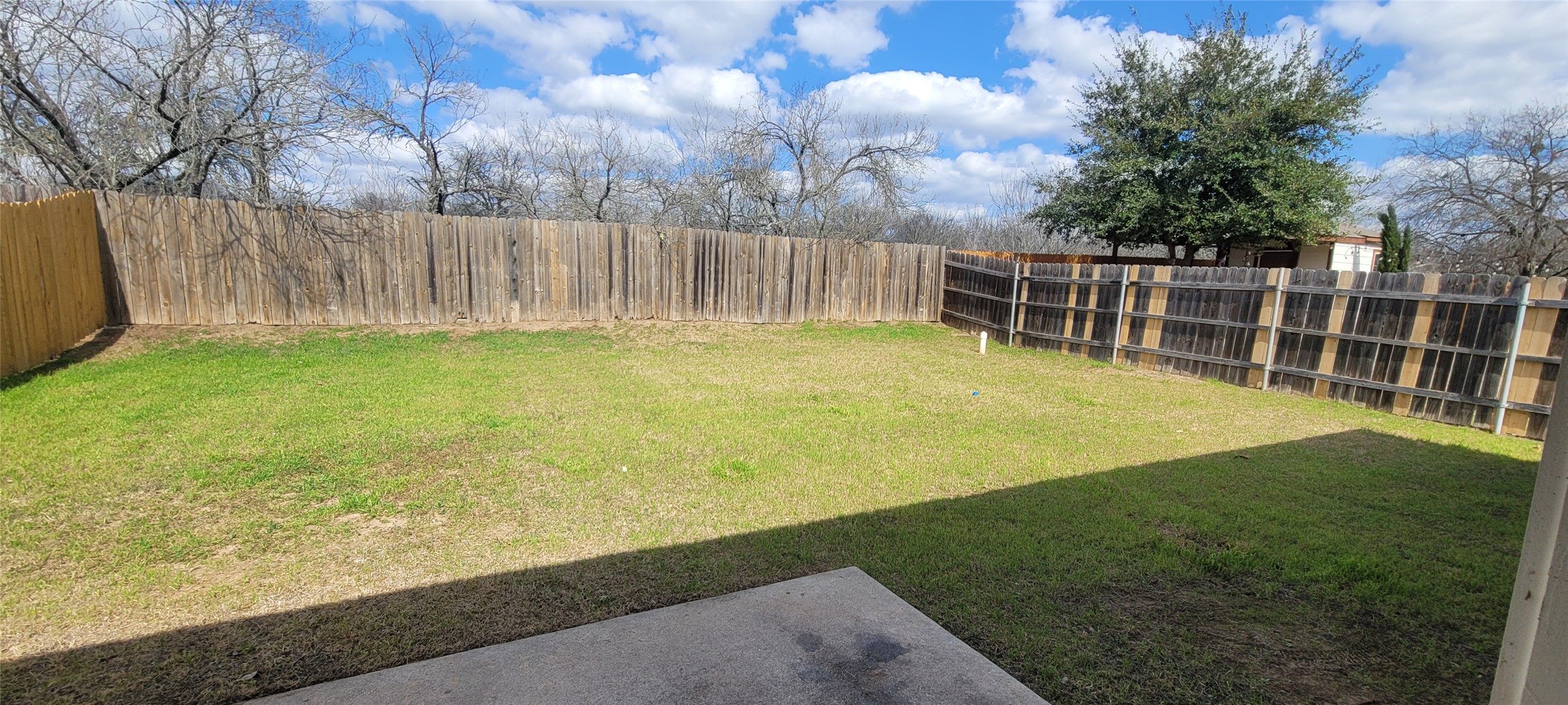 14612 Rumfeldt Street Austin, TX 78725 - Photo 5 of 9 a view of an outdoor space and yard