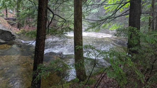 $675,000 | 34 Hubbard Grove Road, Shelburne, NH 03581