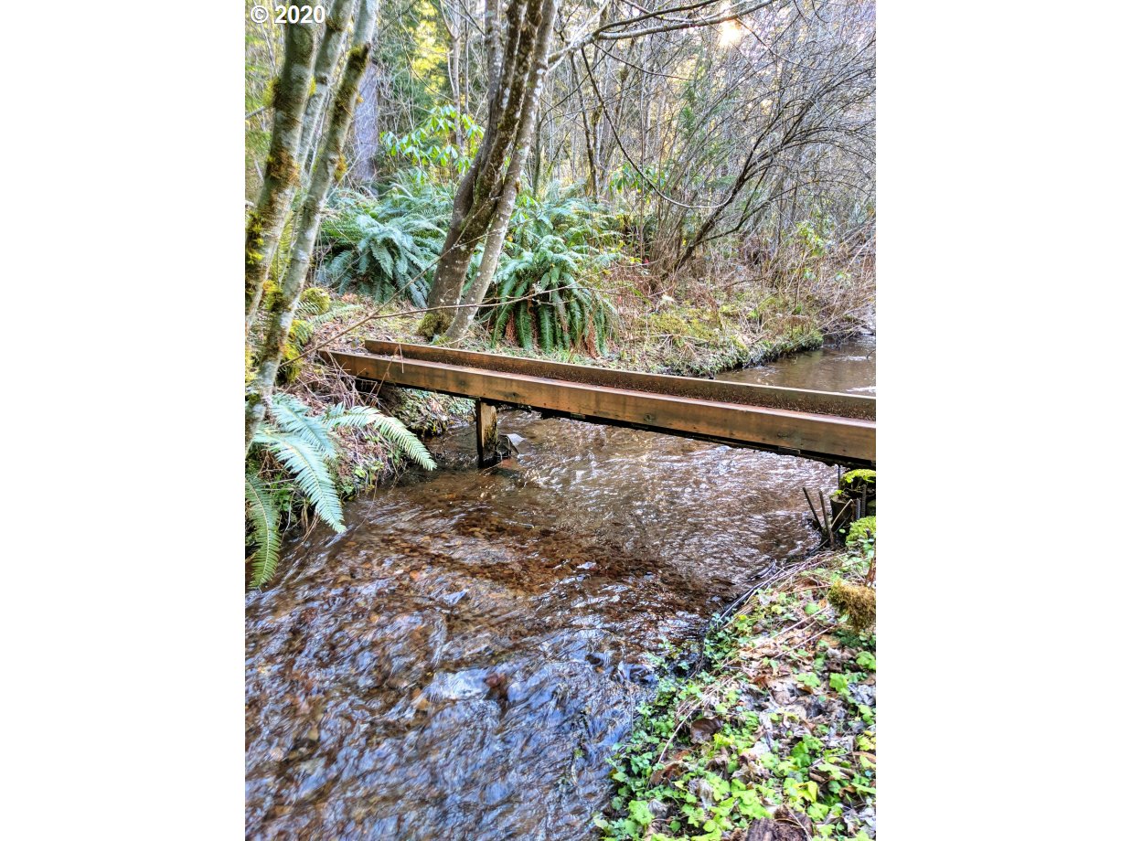 67051 East Barlow Trail Road Rhododendron, OR 97049 - Photo 3 of 32