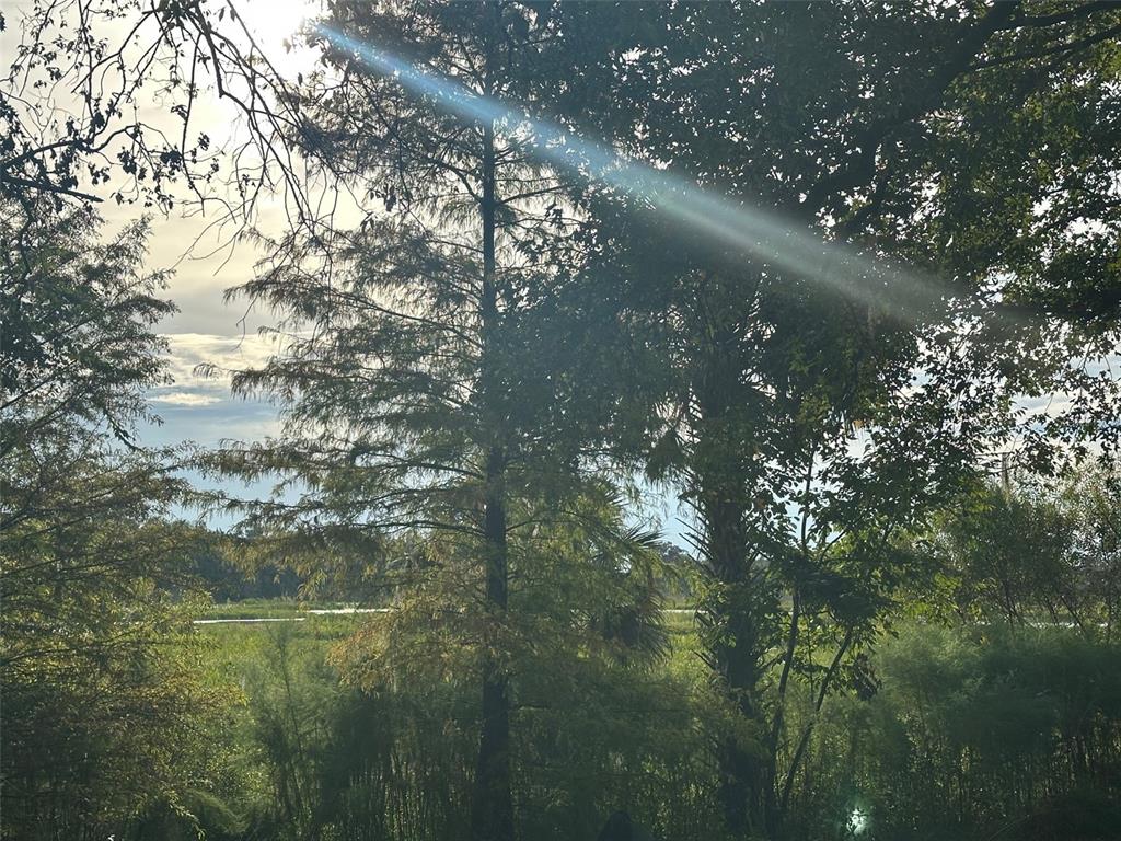 6661 East Turner Camp Road Inverness, FL 34453 - Photo 5 of 5 a view of city from a house