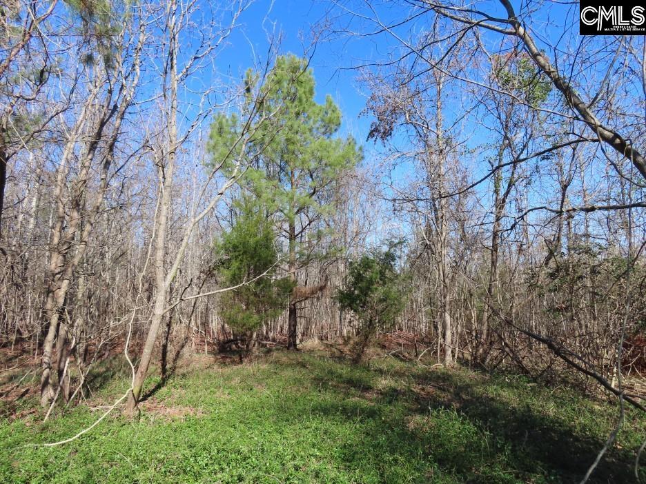 637 Cook Road Ridgeway, SC 29130 - Photo 10 of 51