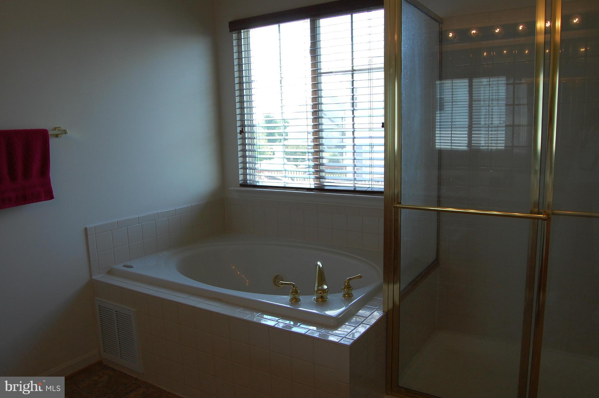 706 Holly Leaf Road Culpeper, VA 22701 - Photo 14 of 24 Bath (Master)