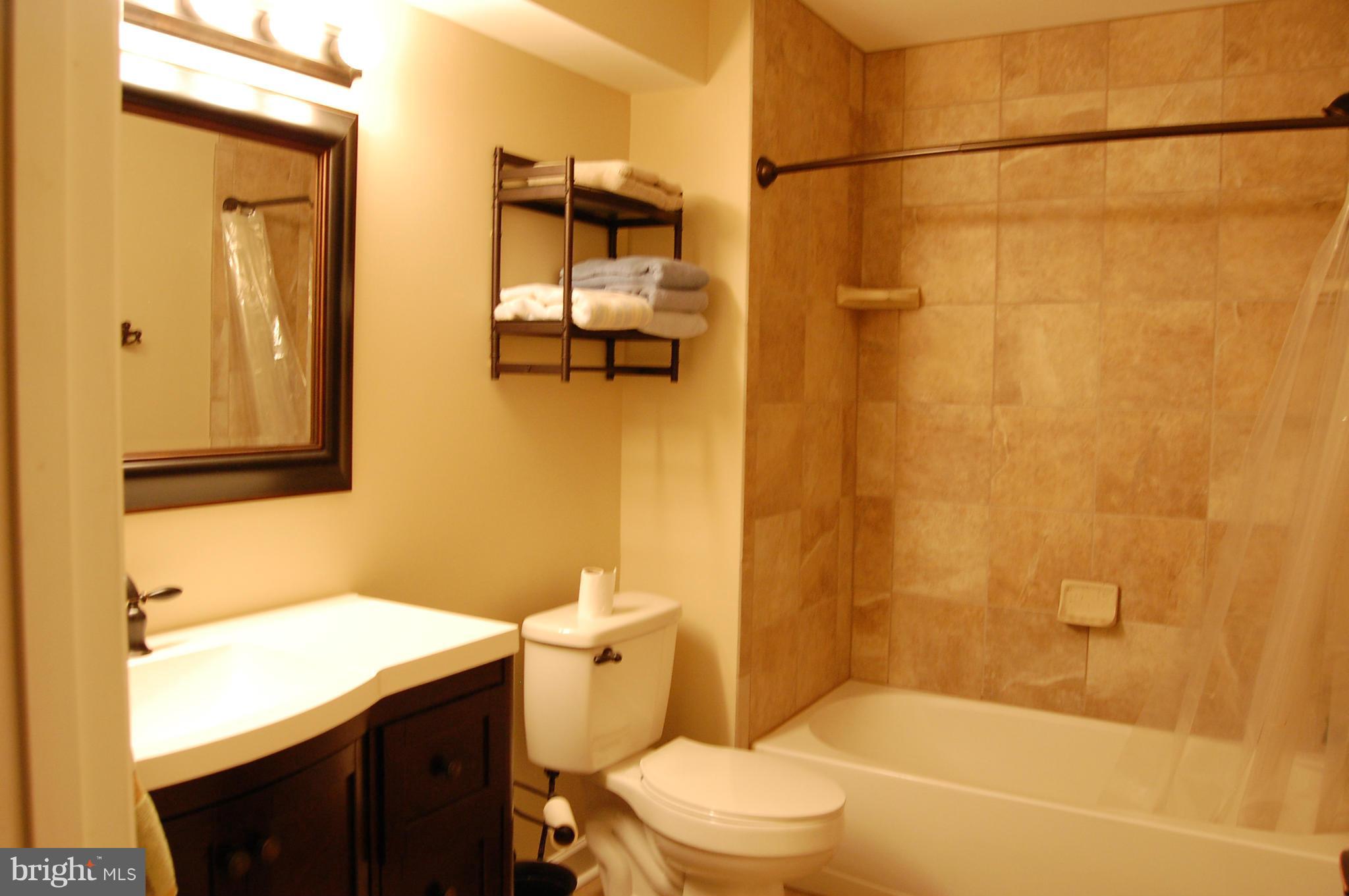 706 Holly Leaf Road Culpeper, VA 22701 - Photo 22 of 24 Bath - Basement