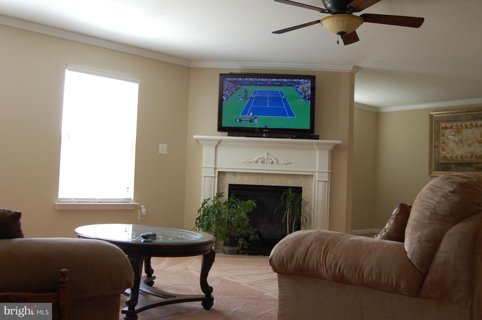 706 Holly Leaf Road Culpeper, VA 22701 - Photo 8 of 24 Family Room