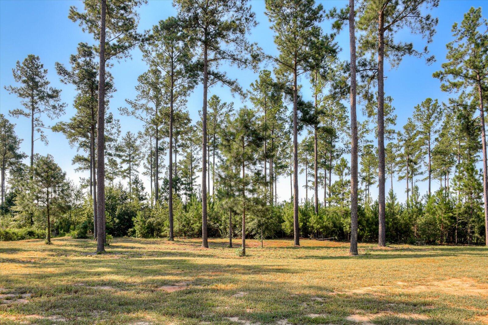 1353 Spread Oak Road Keysville, GA 30816 - Photo 53 of 57 54-154