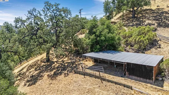 a view of a backyard with a large tree