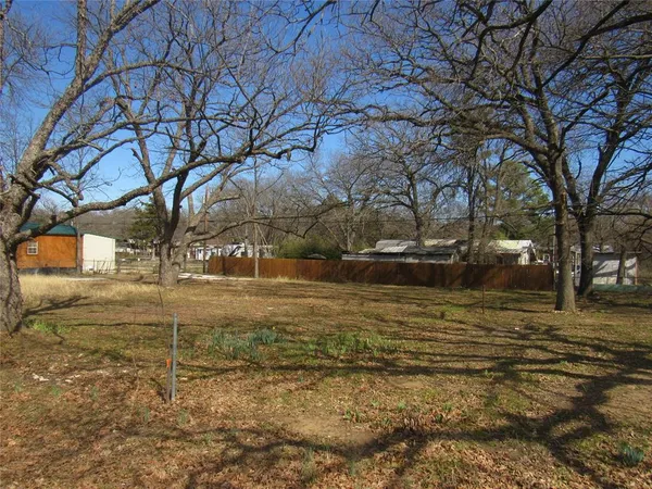 a view of dirt yard with a large tree