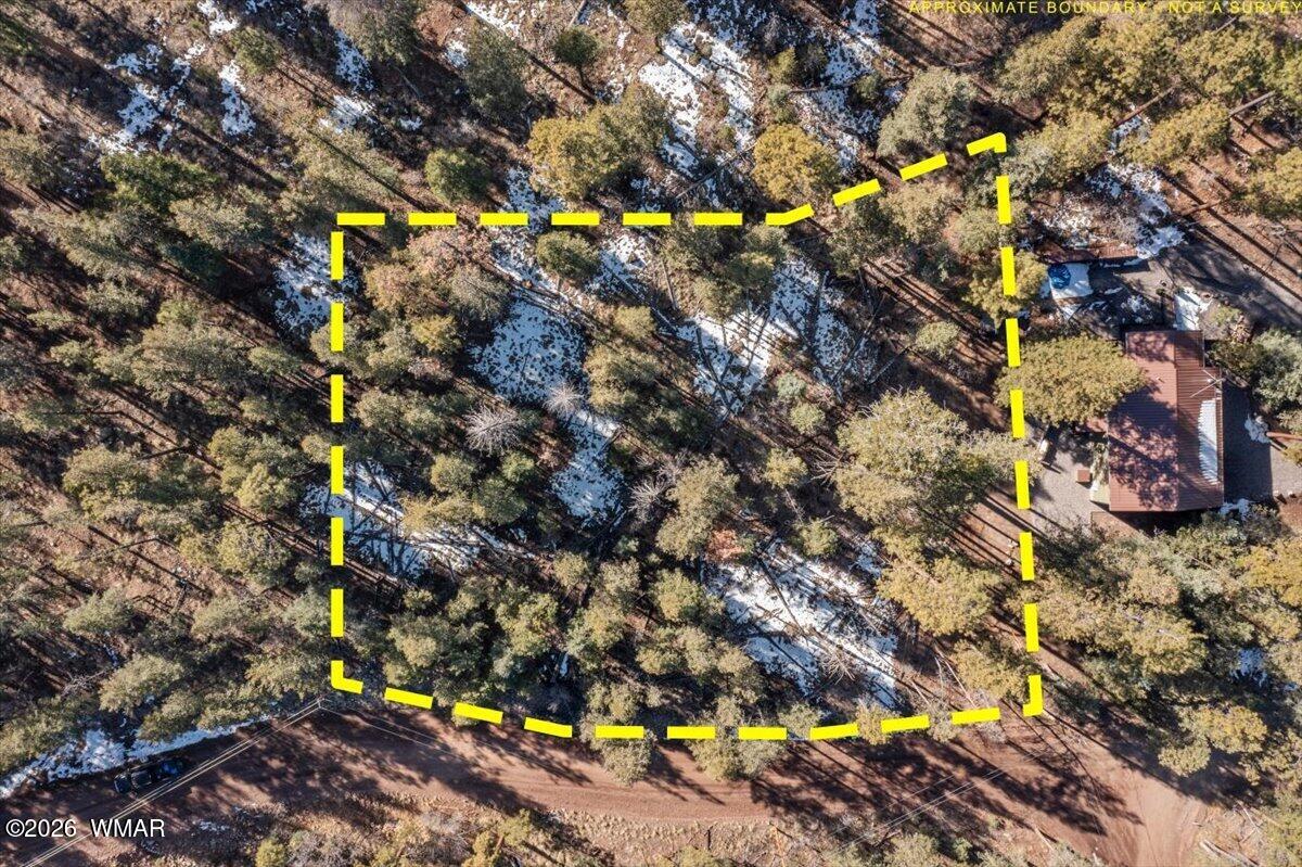 9 2073 Alpine, AZ 85920 - Photo 2 of 7 2-DJI_0507