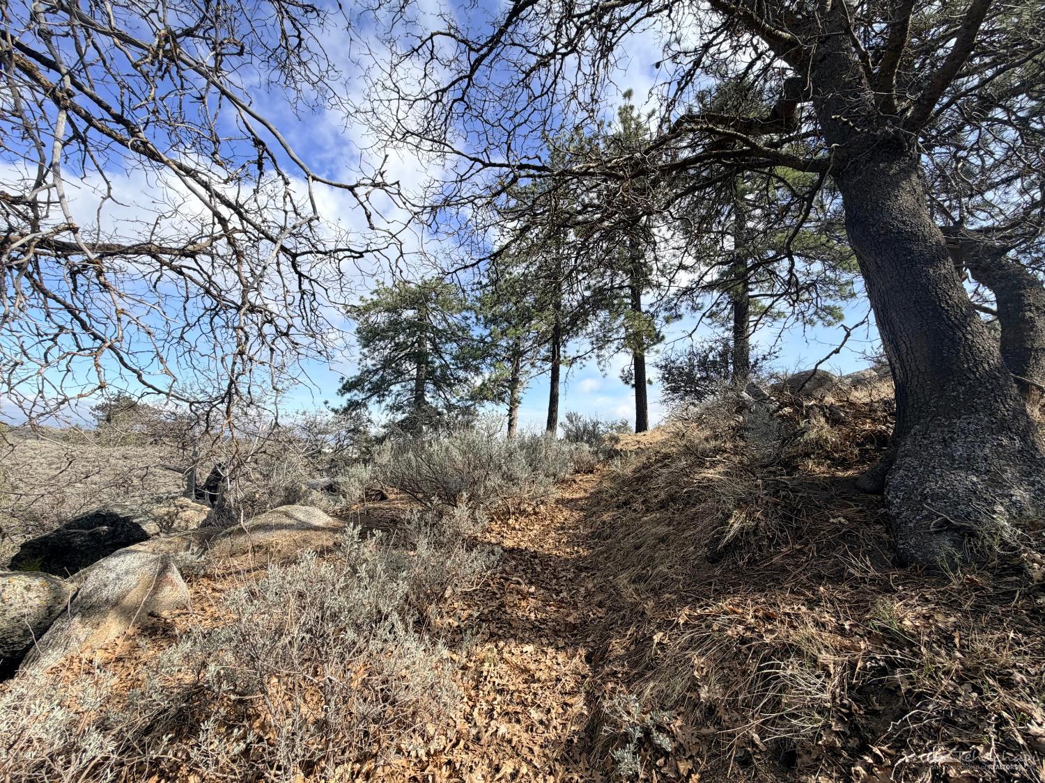 26960 Stirrup Way Tehachapi, CA 93561 - Photo 10 of 46 Gallery Image 10