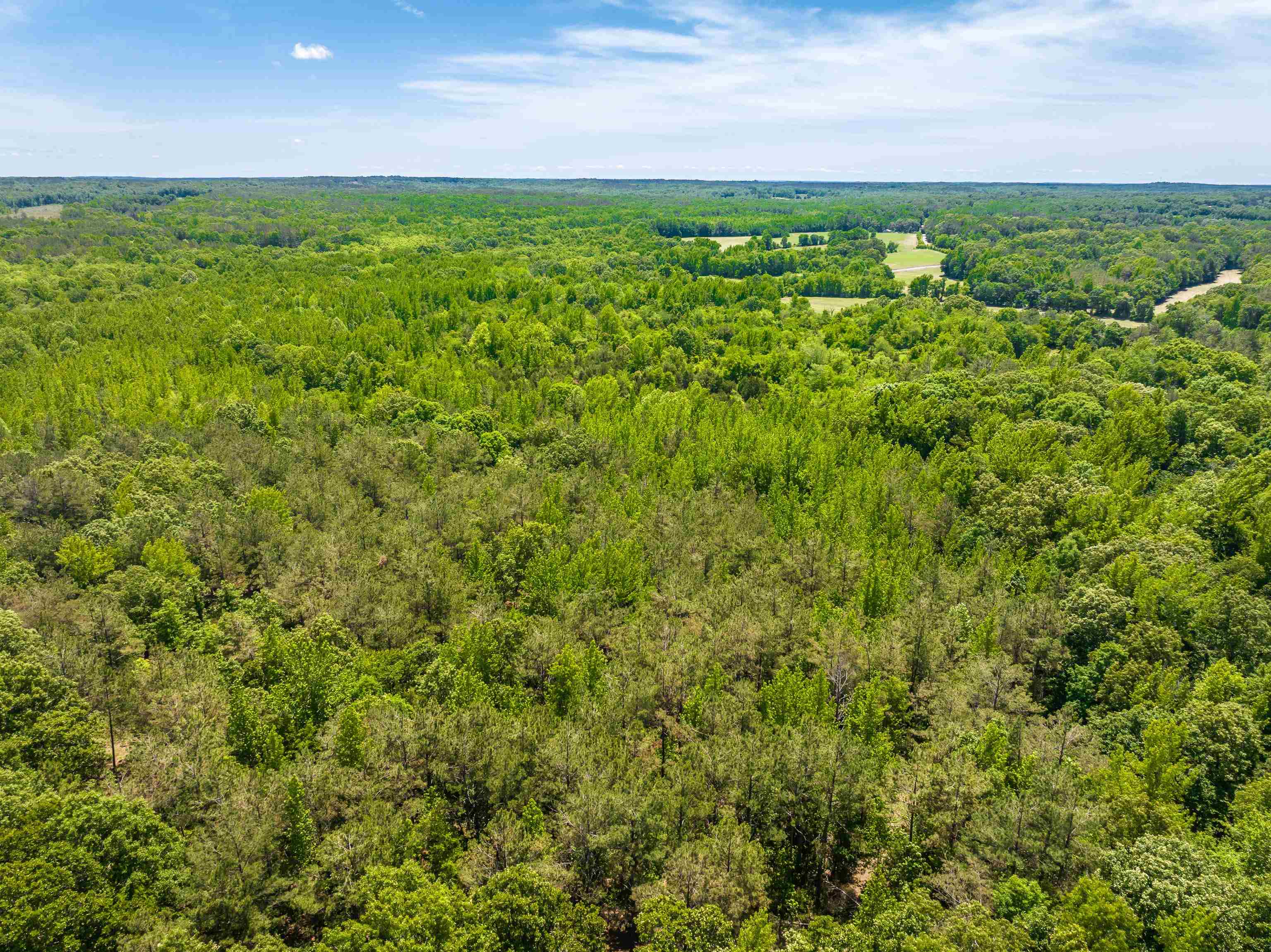2340 Center Hill Road Finger, TN 38334 - Photo 12 of 21 a view of a green field with lots of bushes