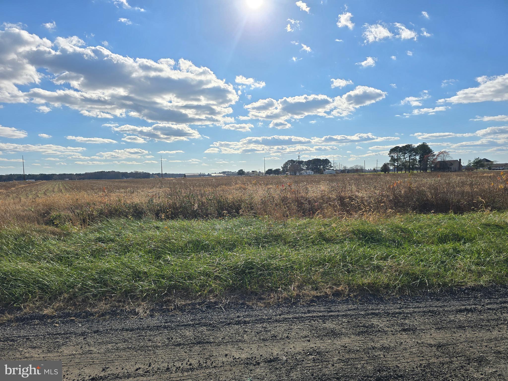 1 Poplar Neck, Unit ROAD Willards, MD 21874 - Photo 12 of 14 View SW from Front of Lot