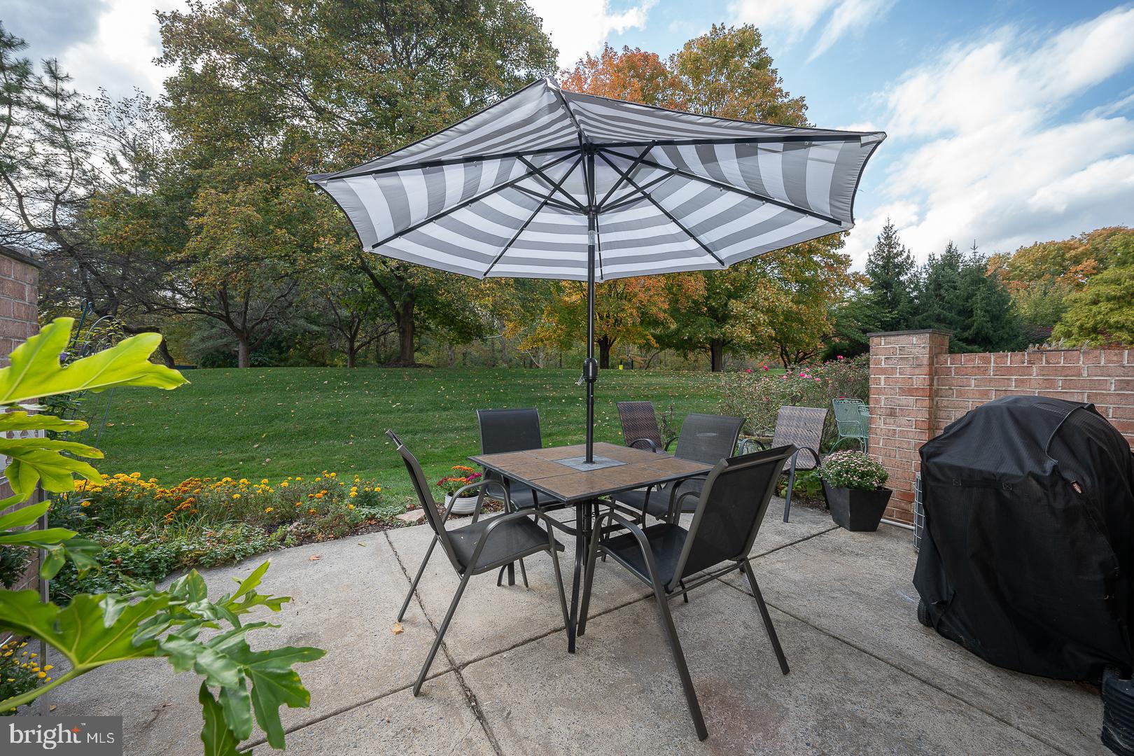 13 Rampart Drive Chesterbrook, PA 19087 - Photo 47 of 49 Back patio
