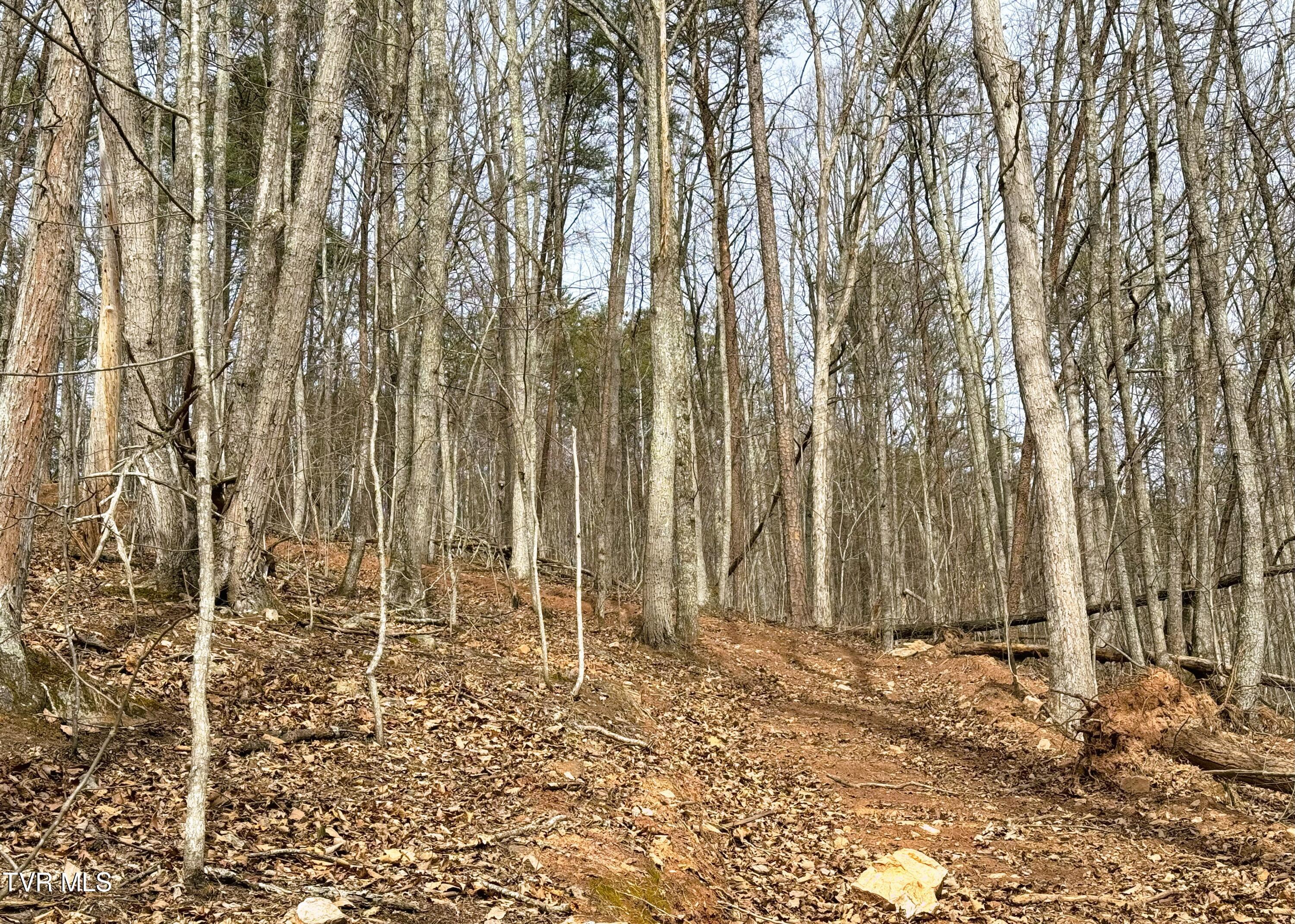 0 Speedwell Church Road, Unit 7 Bulls Gap, TN 37711 - Photo 29 of 32 26